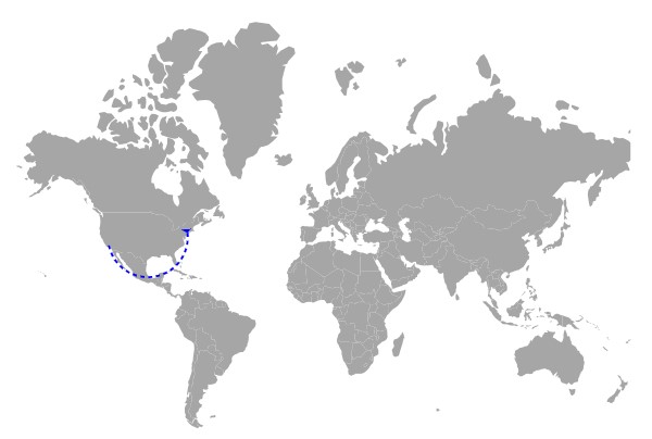 Blazor Maps with Navigation Line Arrow