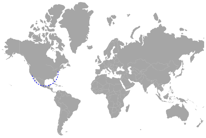 Blazor Maps with Navigation Lines